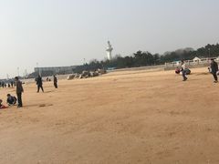 -日照灯塔风景区