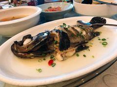 -青岛城阳宝龙福朋喜来登酒店