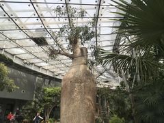 -北京植物园-展览温室