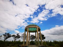 -上海都市菜园