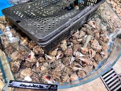 -鑫渔港海鲜本地菜·山海关浑锅(东戴河店)