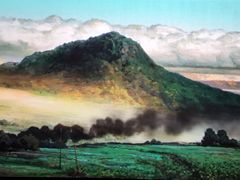 -CMC大光明影城(莲花店)