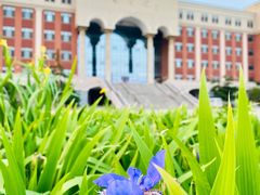 -南开大学滨海学院