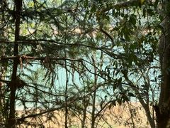 -孔雀湖生态旅游区