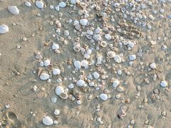 -东海岛旅游度假区