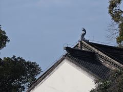 -迎江寺