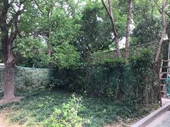 -上海市普陀区中心医院