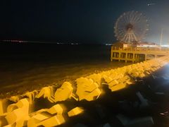 -奉贤海滩