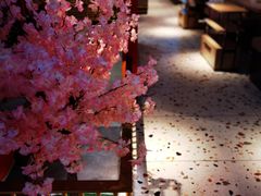 -渡娘火锅(大兴大悦春风里店)