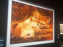 -罗红摄影艺术馆