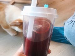 -浣熊柯尔鸭土拨鼠·电玩咖