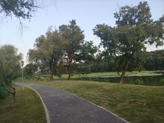 -月湖风景区