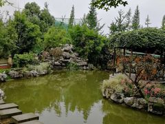 -洪湖家庭农场·团建·露营·会议