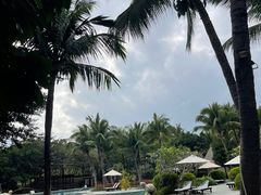 -海南清水湾莱佛士酒店