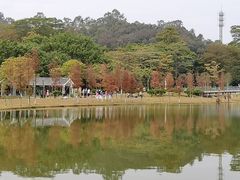 -东莞植物园