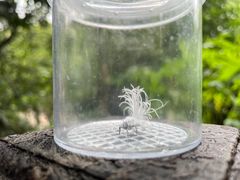 -普洱太阳河森林公园