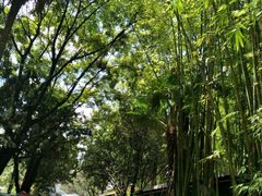 -新竹里馆·花园餐厅(兴苑路店)