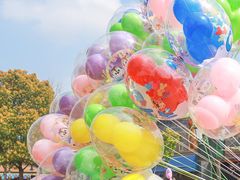 -上海迪士尼度假区