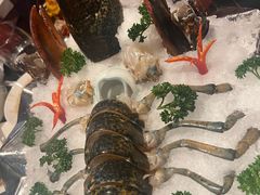-斯普汇生蚝牛排馆(中骏世界城店)
