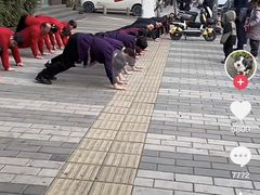 -鼎记酒楼(雁南一路店)