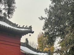 -洛阳白马寺