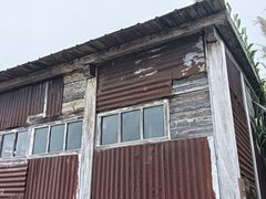 -宁波杭州湾国家湿地公园