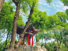 -莲湖公园