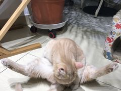 -小时光咖啡馆(开森度假森林店)