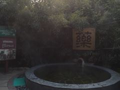 -仁爱团泊湖温泉中心