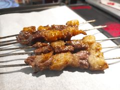 -鼎原力量东北吊炉烧烤(幸福街店)