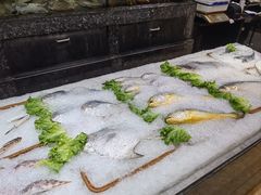 -宝燕壹号(徐汇店)