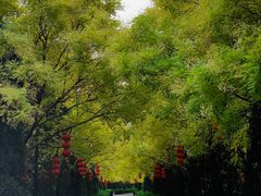 -大槐树寻根祭祖园