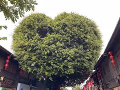 -三坊七巷历史文化街区