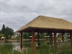 -抚仙湖万达文华酒店