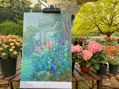 -上海共青森林公园