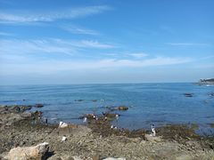 -海岛日记(养马岛店)