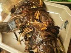 烤鱼-多哥水傣味餐厅(司马巷店)