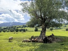 -新疆那拉提国家旅游度假区