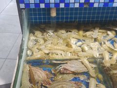 -天天鱼港·海鲜·鲅鱼水饺·招牌烤鸭(黄骅店)