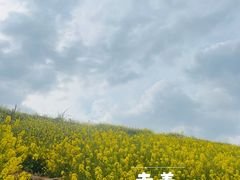 -白鹭湾湿地公园
