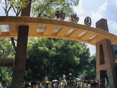 -柳州市动物园