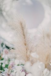 -DNA Wedding 婚礼记(上海店)