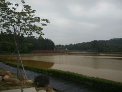 android_upload_pic-南国桃园旅游度假区