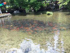 -水磨沟公园