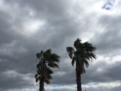 -Cafe Aewol Monsant