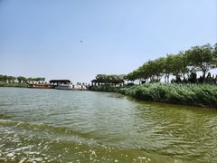 -南大港湿地风景区