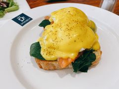 班尼迪克-JamaicaBlue(新城国际店)