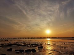 -宝安西湾红树林湿地公园