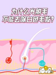 点击看大图 -咪咪比基尼脱毛专业店