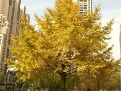 梦清园-苏州河梦清园环保主题公园